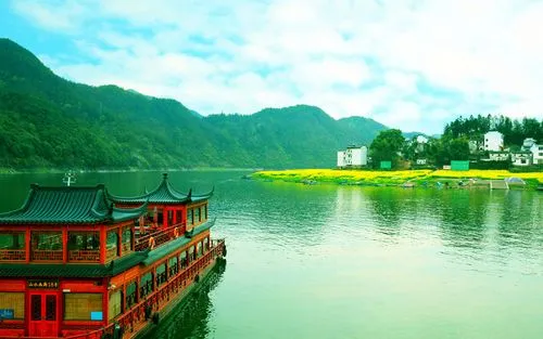 网络化稳定性无人化